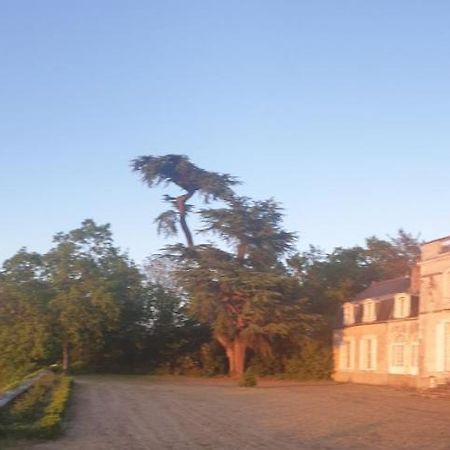 Chateau De Colliers Muides-sur-Loire Eksteriør bilde