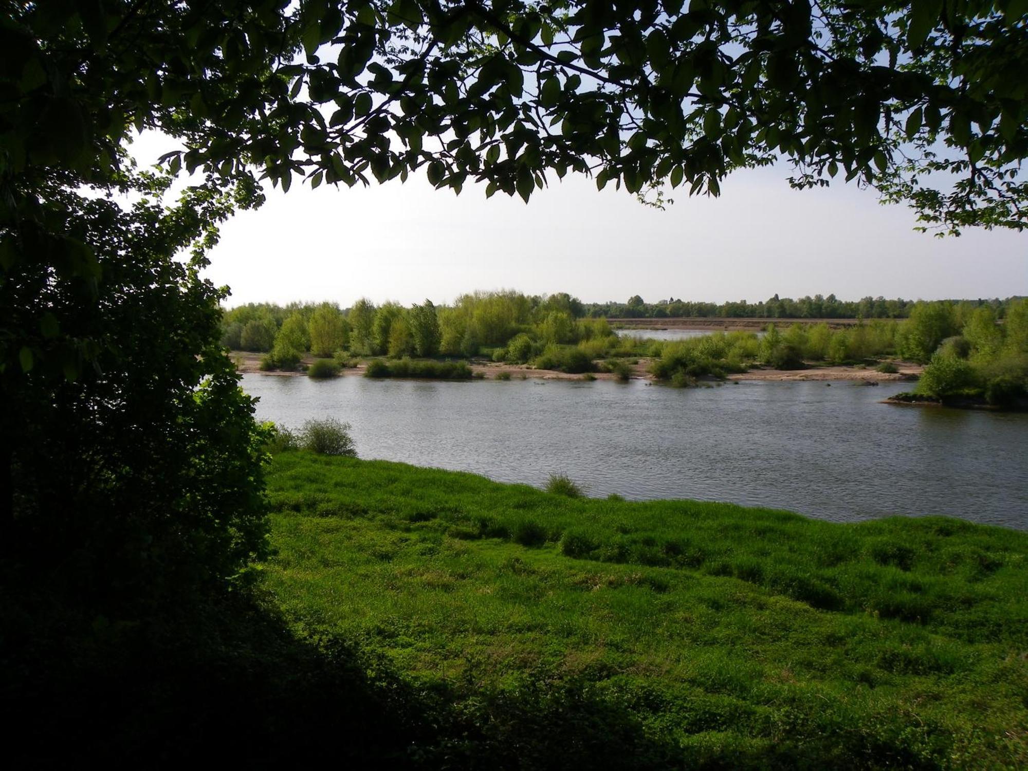Chateau De Colliers Muides-sur-Loire Eksteriør bilde