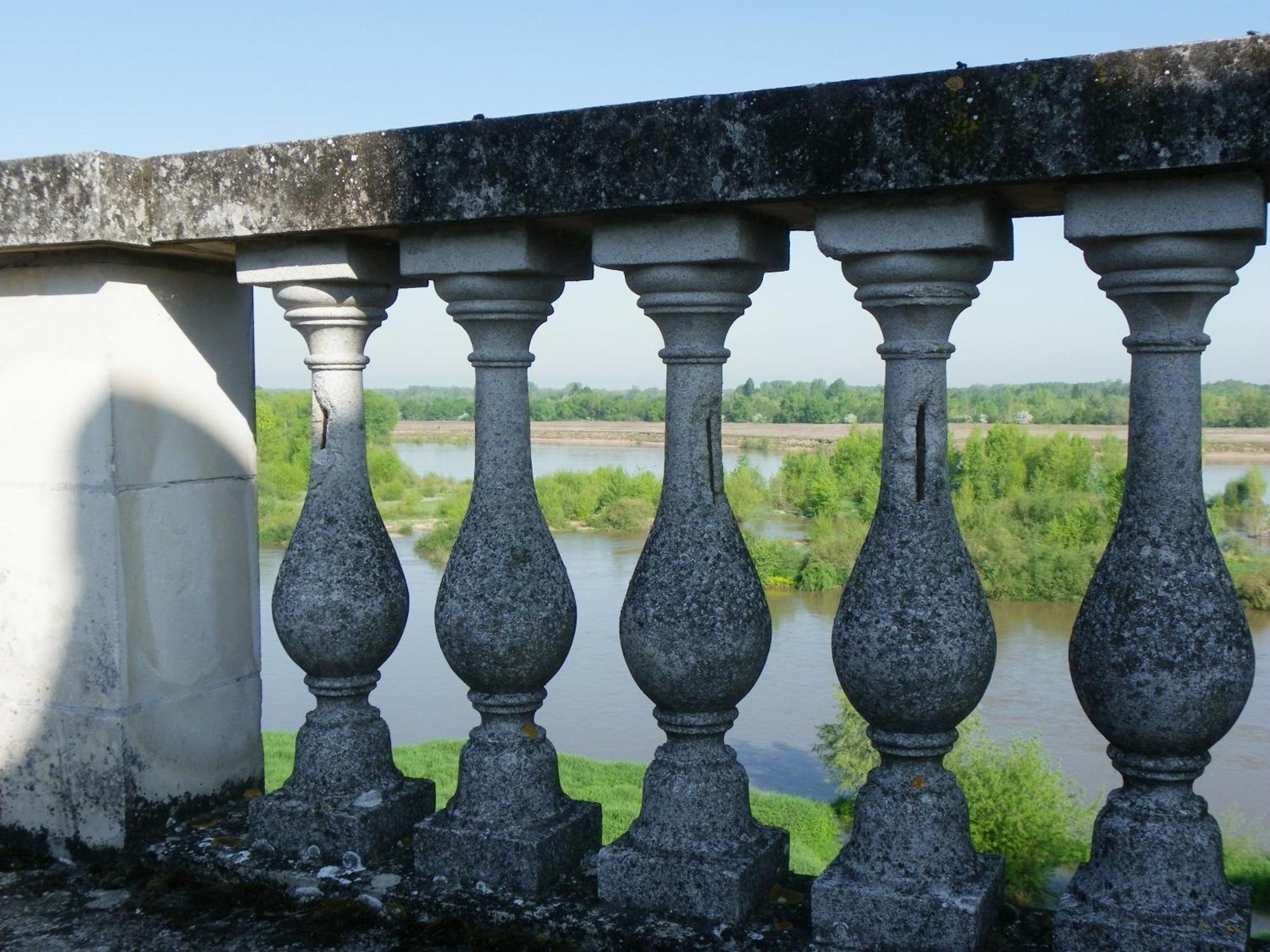 Chateau De Colliers Muides-sur-Loire Rom bilde