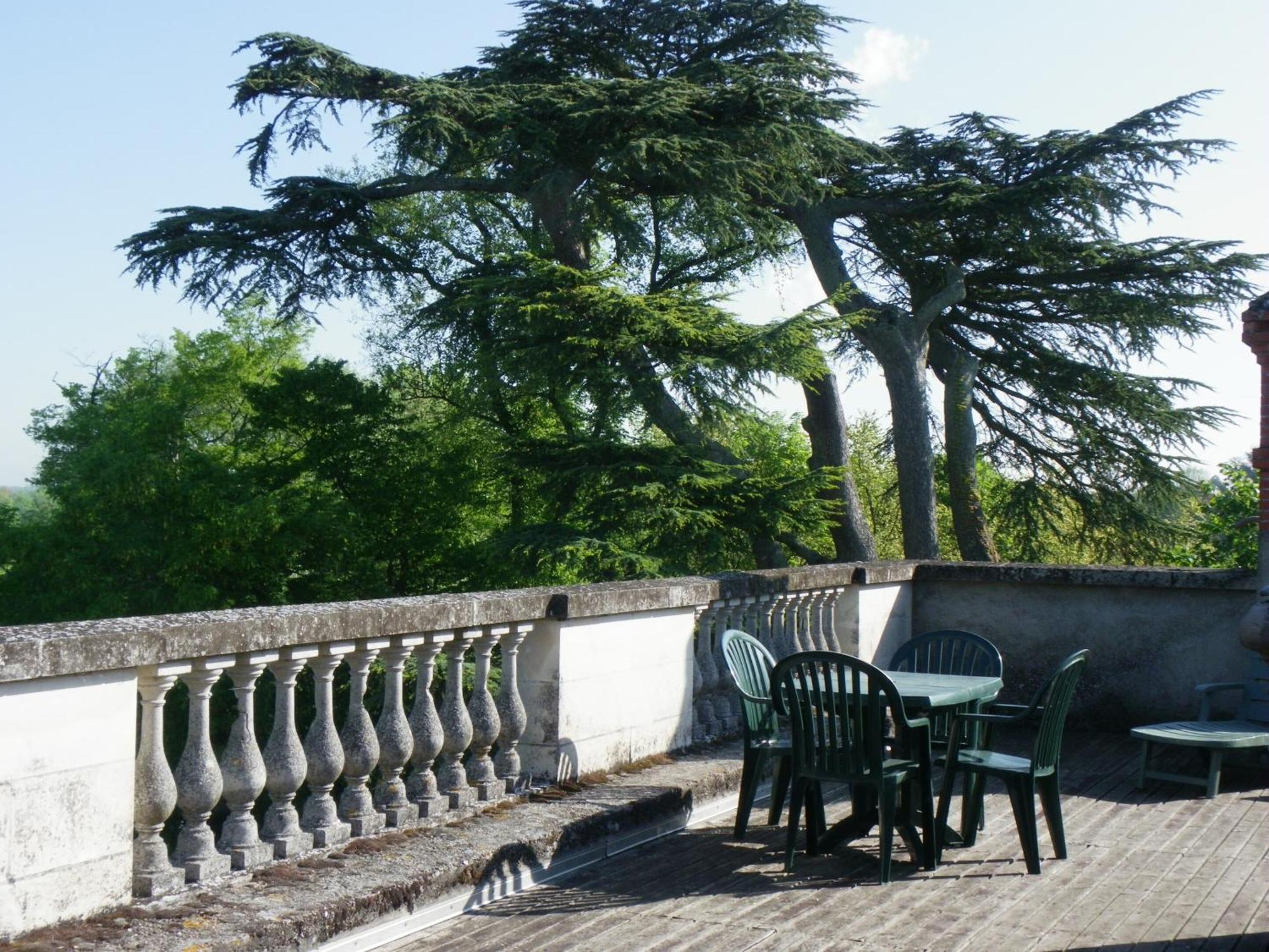 Chateau De Colliers Muides-sur-Loire Rom bilde