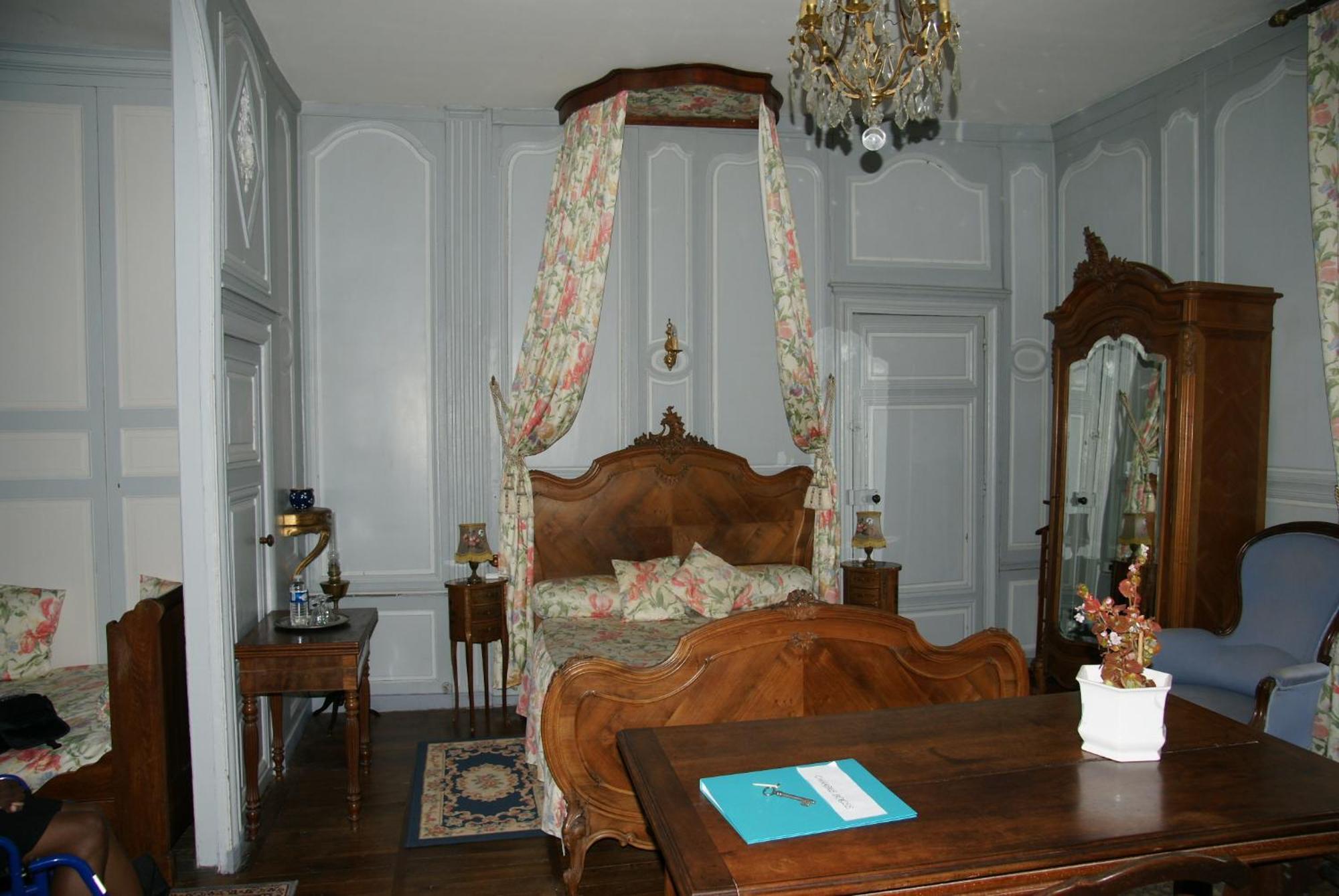 Chateau De Colliers Muides-sur-Loire Rom bilde