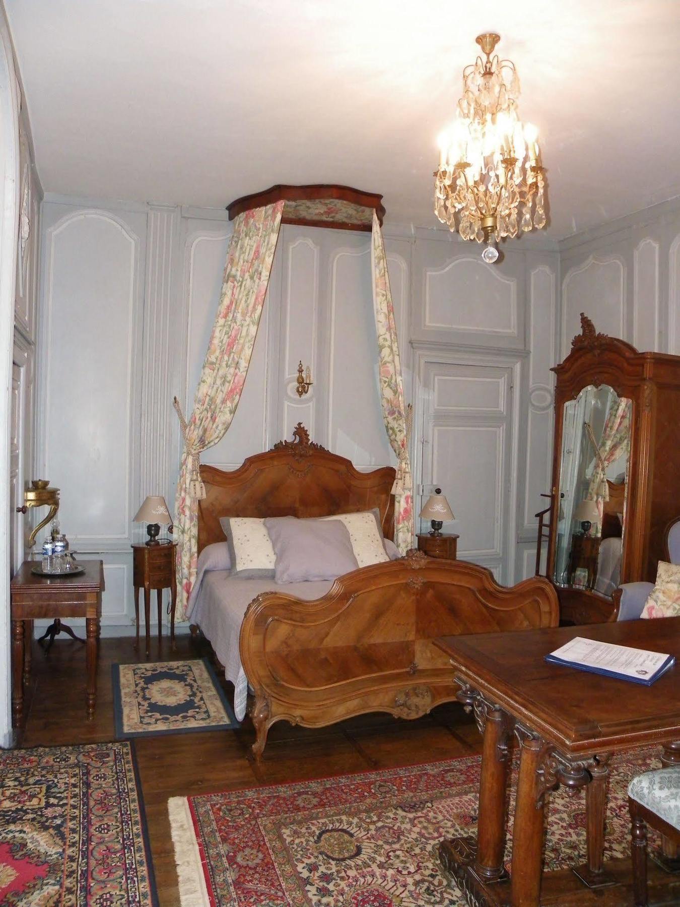 Chateau De Colliers Muides-sur-Loire Eksteriør bilde